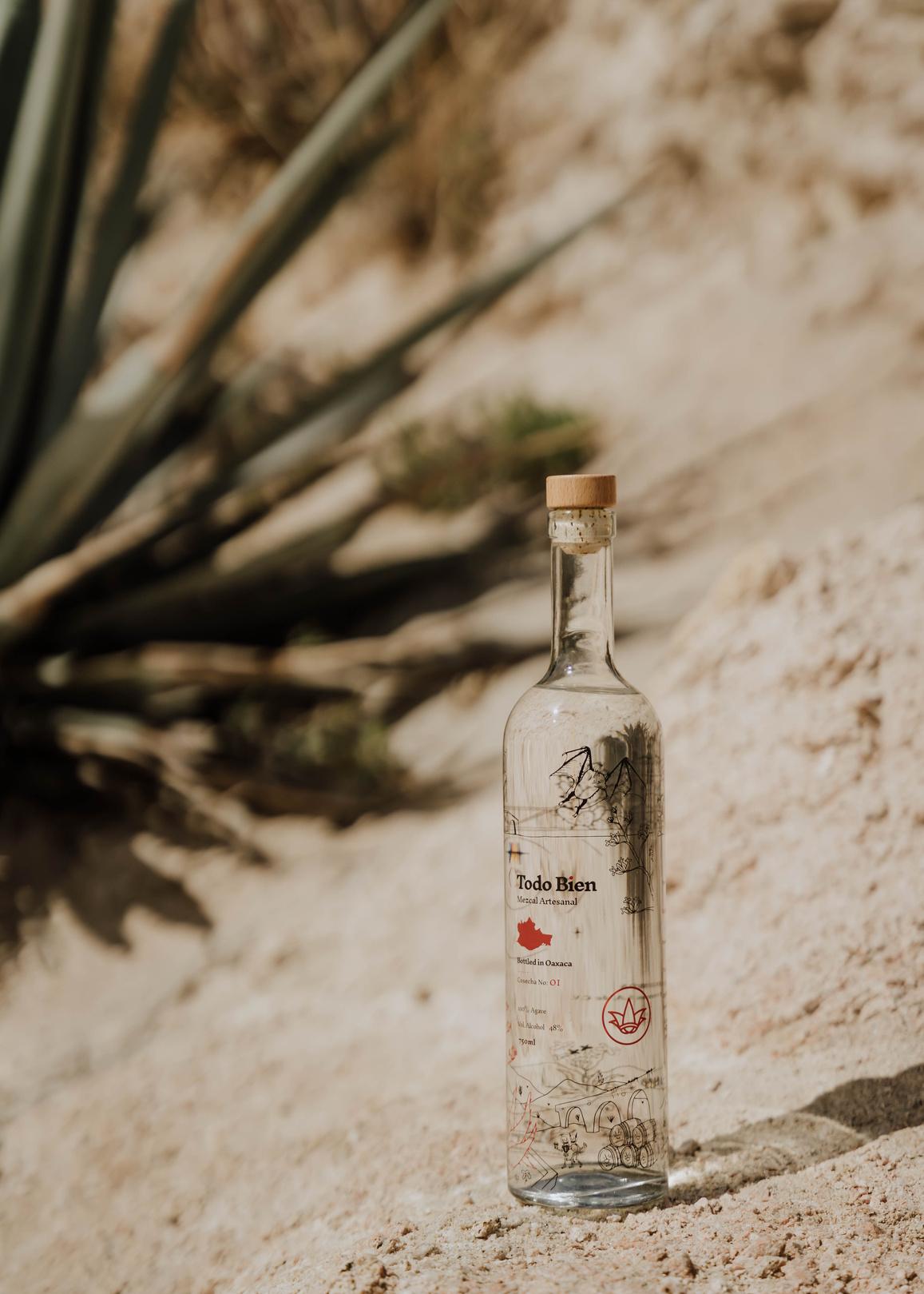 Botella Todo Bien Mezcal sobre arena con agave al fondo